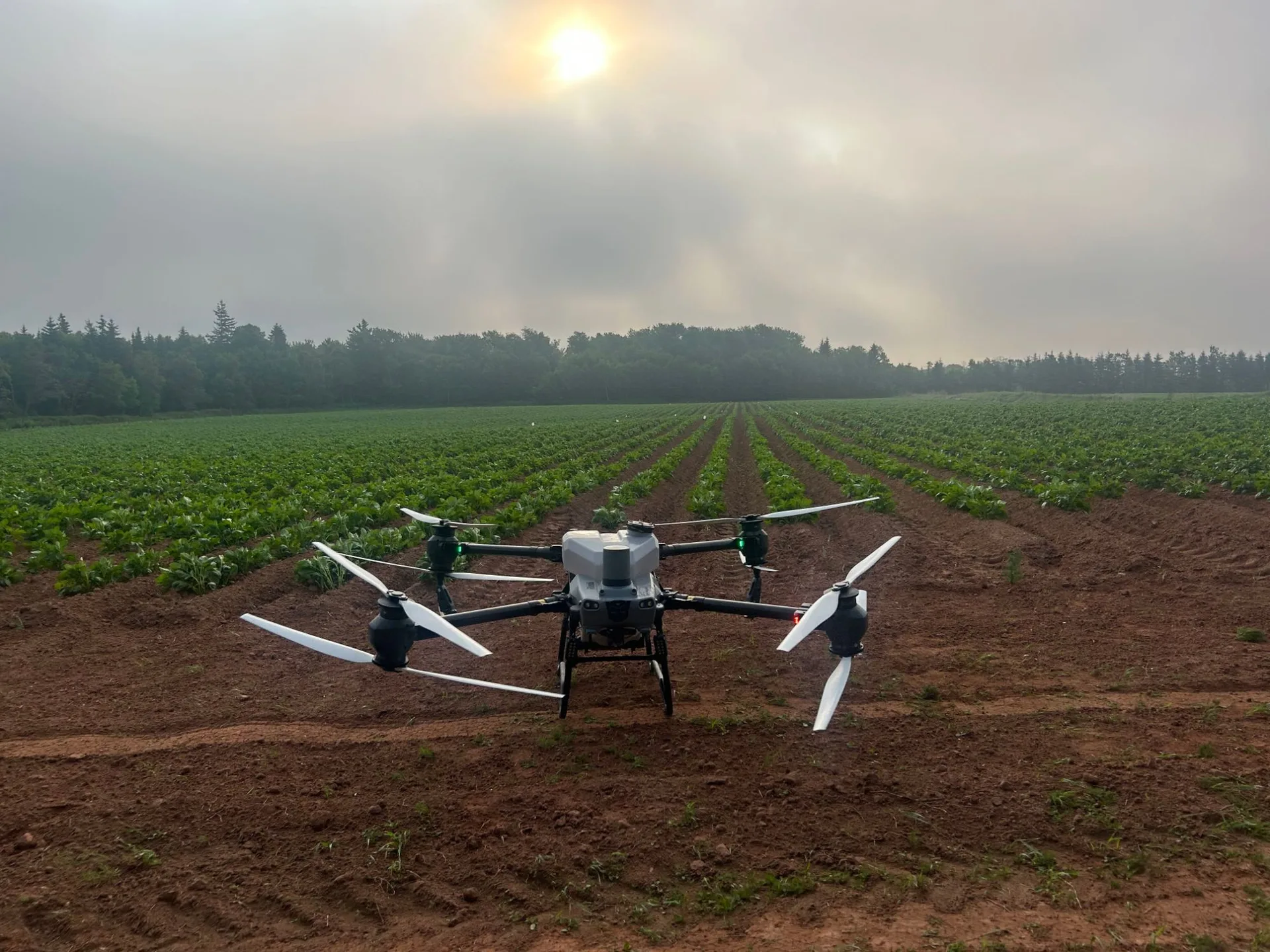 A spray drone parked at the edge of a potato field on Prince Edward Island