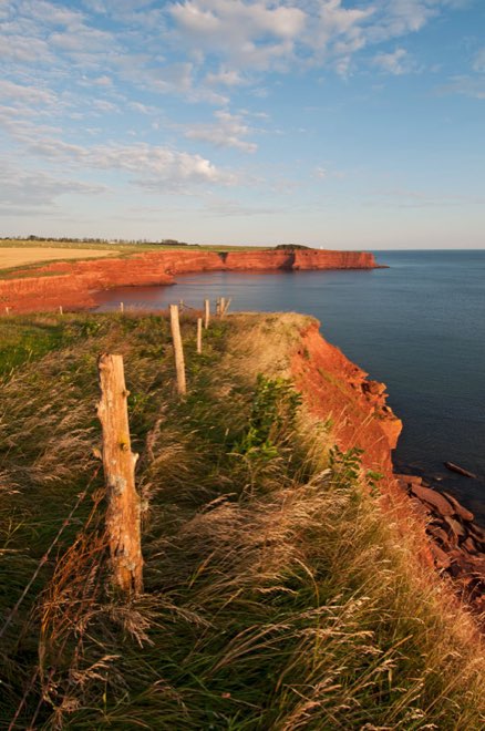 Red sandstone cliffs above the water at sunset, with a line of old fence posts along the headland
