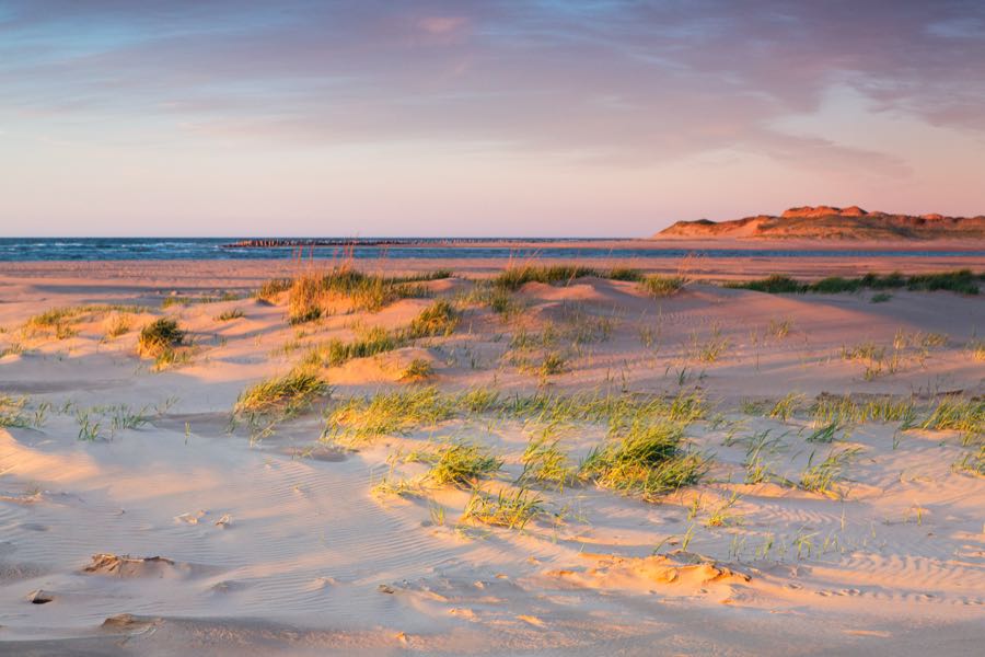 Dunes and marram grass running down to a red sand beach at golden hour, with the Gulf beyond